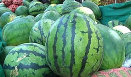 网红吃瓜爆料怎么找,探寻幕后真相与热点追踪