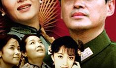 新乱世佳人电视剧,爱恨情仇，风云变幻的民国传奇